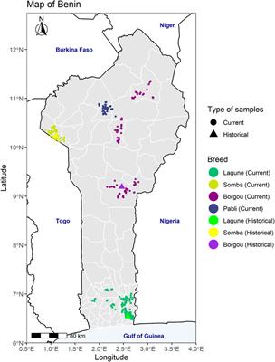 Frontiers | Unraveling Admixture, Inbreeding, and Recent Selection